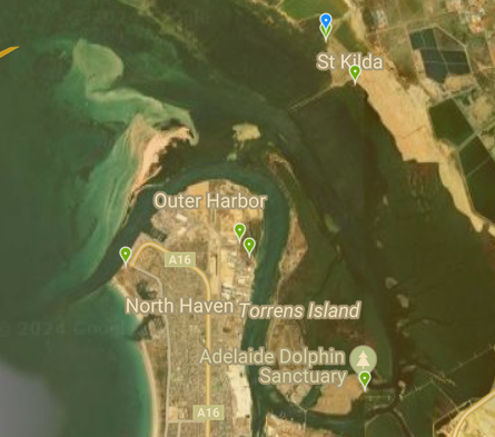 To show sightings of Shrubby Samphire (green) and Samphire Thornbills (blue) near Port River