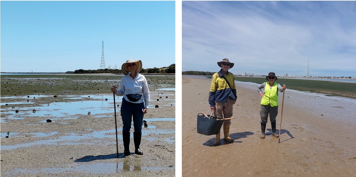 Seagrass monitoring update