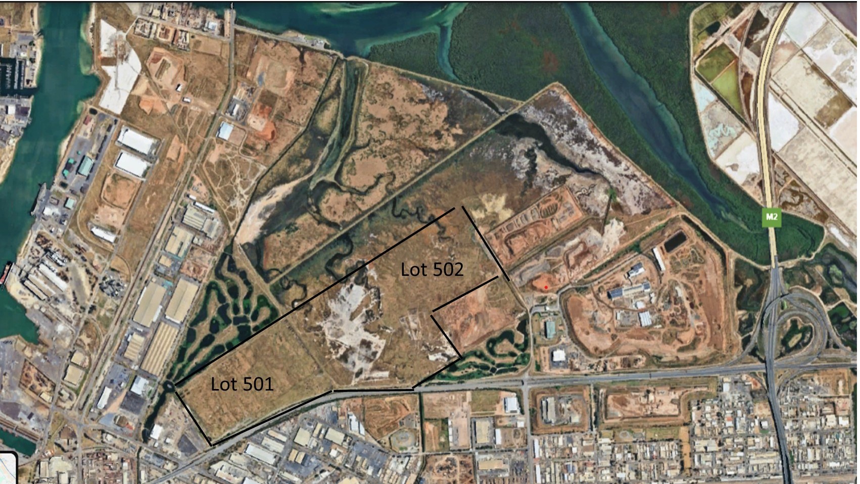 Environmentalists seek protection for Gillman wetlands and vegetation in face of increased threat