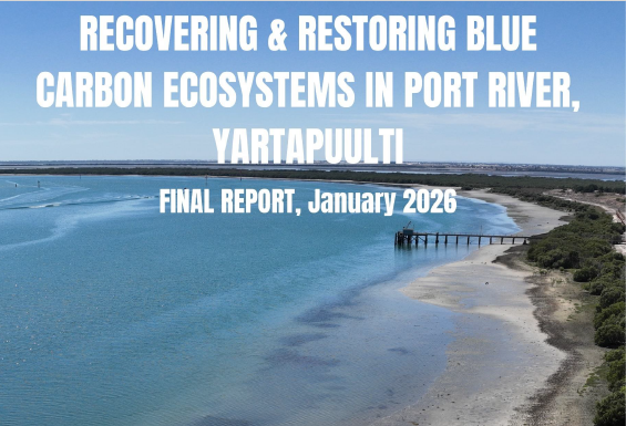 Carbon storage as vegetation changes along Port River